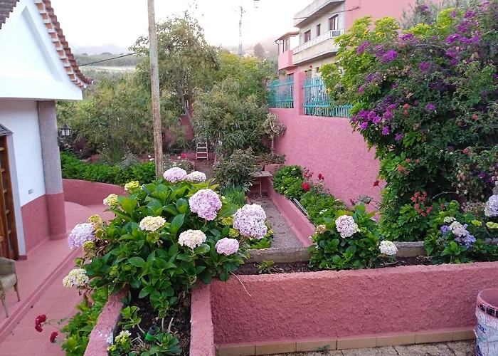Mar De Flores